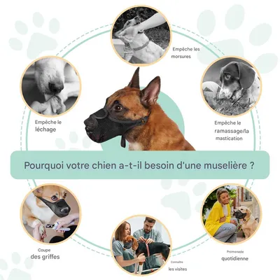 FurryFusion Muselière respirante en maille pour chien