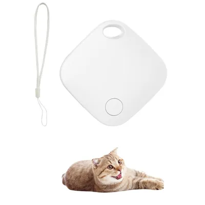 FurryFusion iTag Anti - Perte pour Chats et chiens