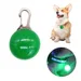 FurryFusion Pendentif lumineux pour chien et chat