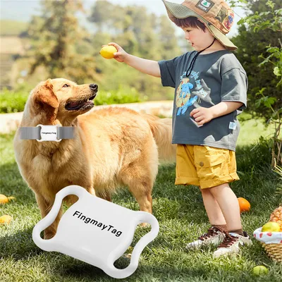 FurryFusion - Localisateur Intelligent pour Animaux de Compagnie