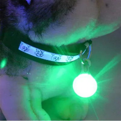 FurryFusion Pendentif lumineux pour chien et chat