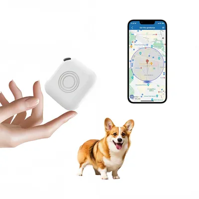 FurryFusion Localisateur d'animaux de compagnie