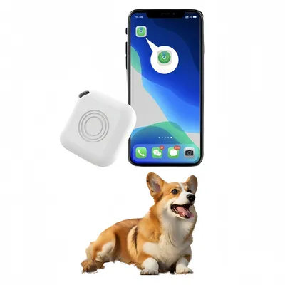 FurryFusion Localisateur d'animaux de compagnie