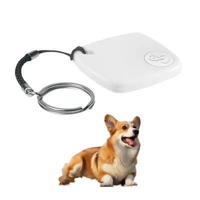 FurryFusion AirTag Locator pour Animaux de Compagnie