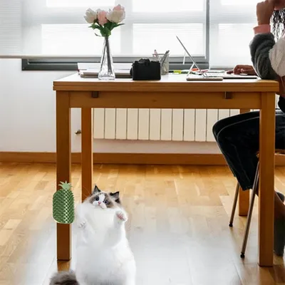 FurryFusion Peigne à griffer pour chat