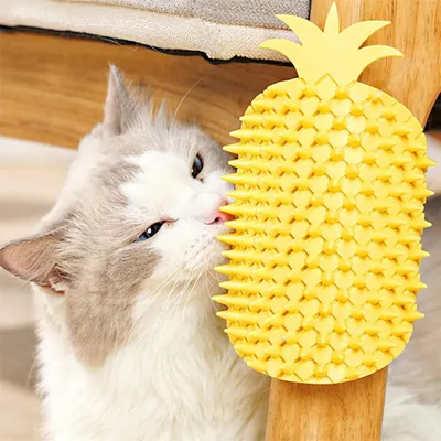 FurryFusion Peigne à griffer pour chat