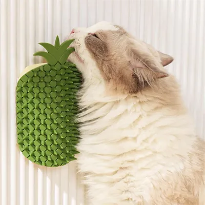 FurryFusion Peigne à griffer pour chat