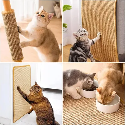 FurryFusion Tapis griffoir pour chat