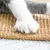 FurryFusion Tapis griffoir pour chat