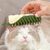 FurryFusion Peigne à griffer pour chat