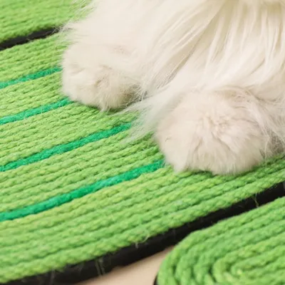 FurryFusion Alfombrilla rascador para gatos con forma de cactus