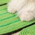FurryFusion  Tapis à gratter pour chat Cactus