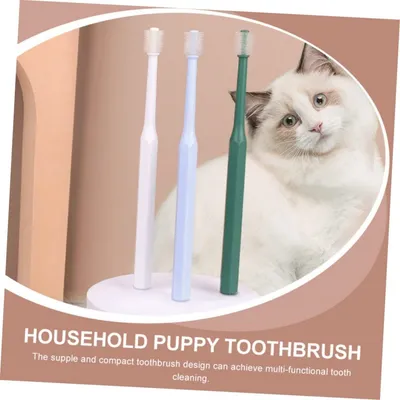 FurryFusion Jouet à Gratter 3 en 1 pour Chat