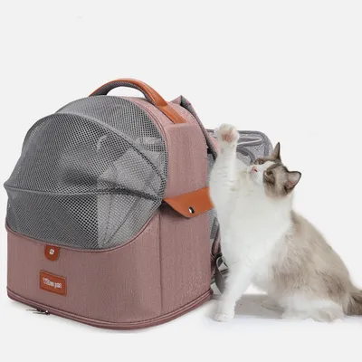 FurryFusion Sac à dos pour chat - Sac à dos extensible