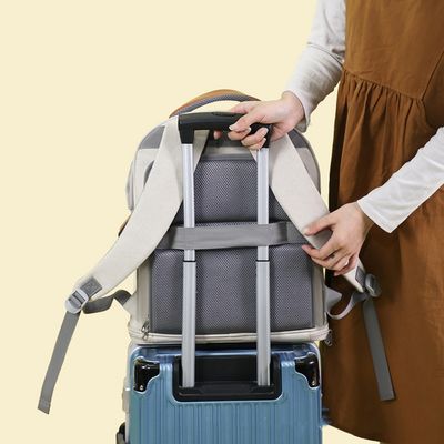 FurryFusion Katzenrucksack – Erweiterbarer Rucksack