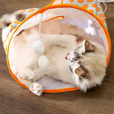 FurryFusion - Sac à explorer pour chats (35*45*30cm)