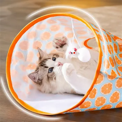 FurryFusion - Sac à explorer pour chats (35*45*30cm)