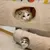 Tunnel pour chat silencieux et pliable