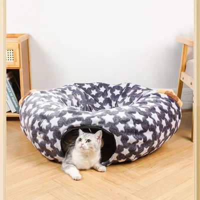 FurryFusion Tunnel multifonctionnel pliable pour chats
