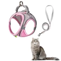 FurryFusion Harnais et Laisse pour Chat