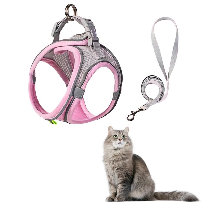 FurryFusion Harnais et Laisse pour Chat