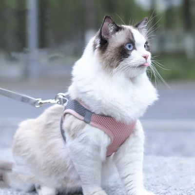FurryFusion Arnés y correa para gatos