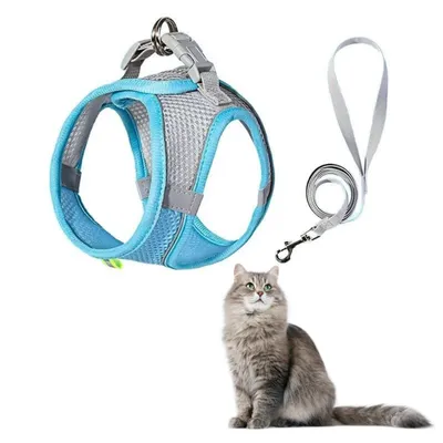FurryFusion Harnais et Laisse pour Chat FurryFusion Harnais et Laisse pour Chat