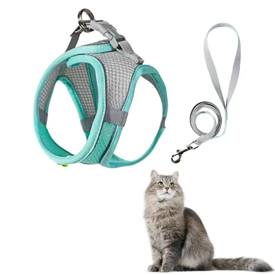 FurryFusion Harnais et Laisse pour Chat