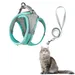 FurryFusion Harnais et Laisse pour Chat