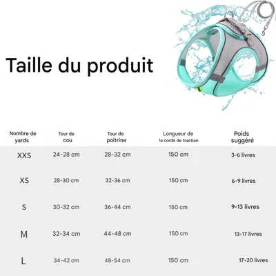 FurryFusion Harnais et Laisse pour Chat