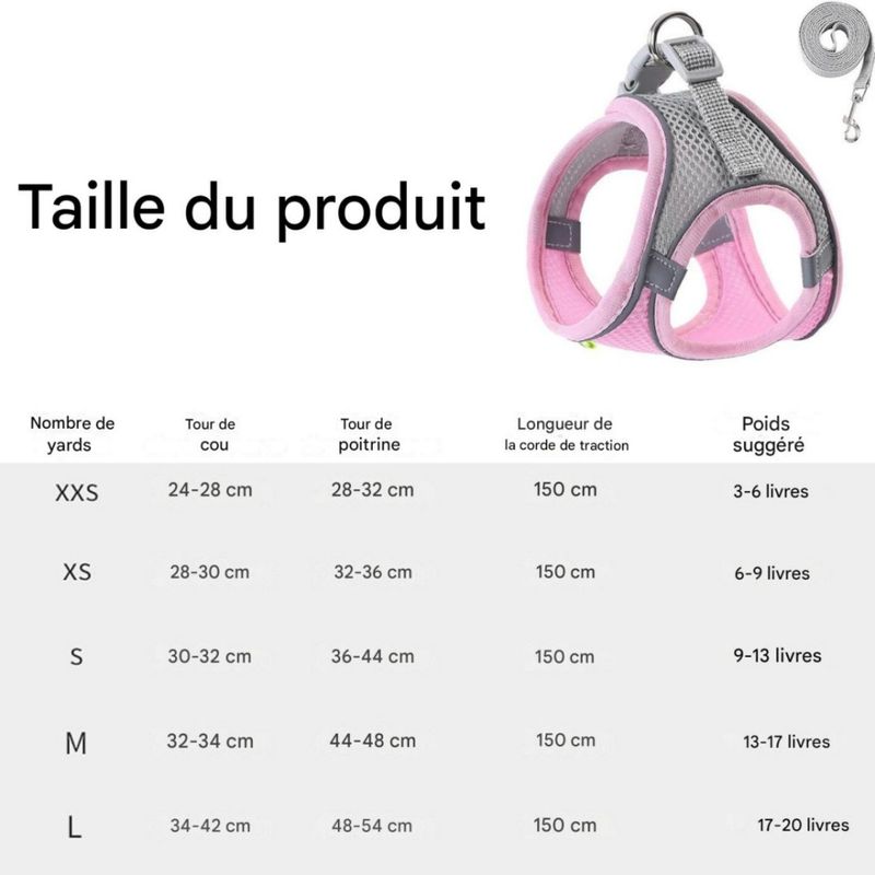 FurryFusion Harnais et Laisse pour Chat