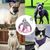 FurryFusion Harnais et Laisse pour Chat