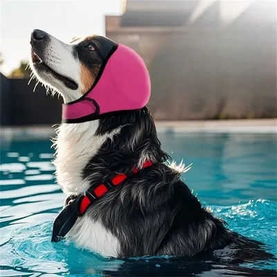 FurryFusion Coque d'oreilles pour chien apaiser