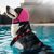 FurryFusion Coque d'oreilles pour chien apaiser