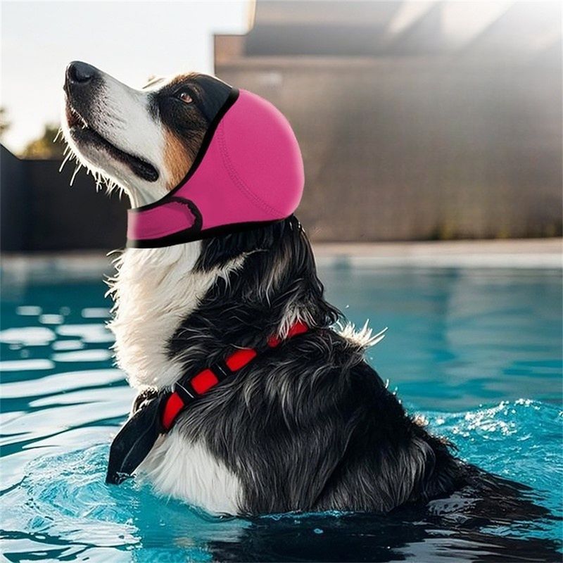 FurryFusion Coque d'oreilles pour chien apaiser