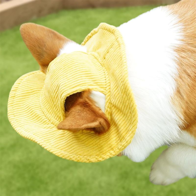 FurryFusion Chapeau pour animaux de compagnie