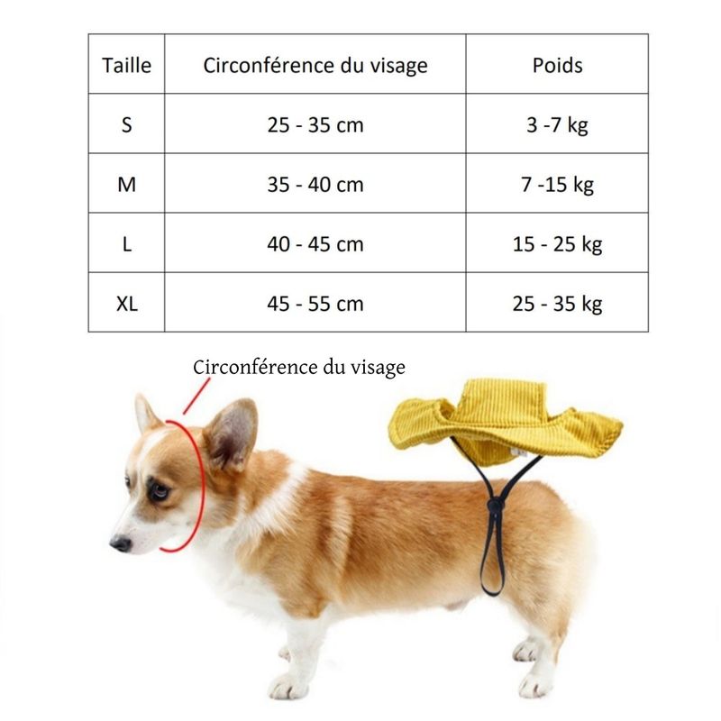 FurryFusion Chapeau pour animaux de compagnie