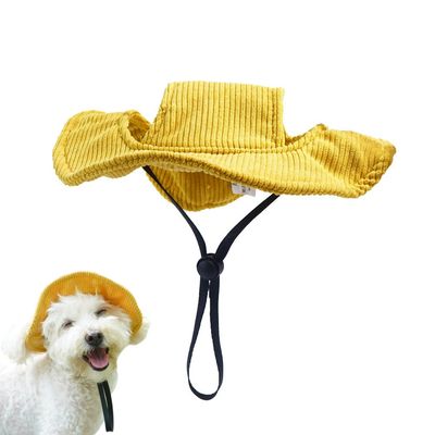 FurryFusion Chapeau pour animaux de compagnie