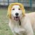 FurryFusion Chapeau pour animaux de compagnie