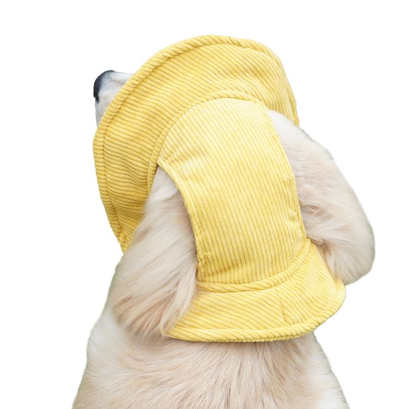 FurryFusion Chapeau pour animaux de compagnie