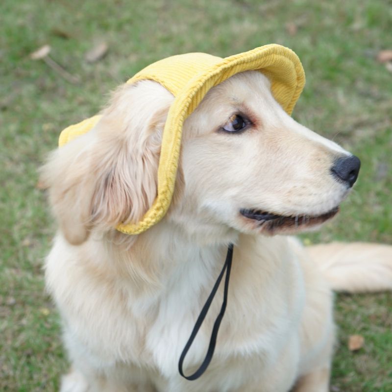FurryFusion Chapeau pour animaux de compagnie