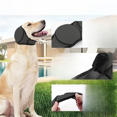 FurryFusion Coque d'oreilles pour chien apaiser