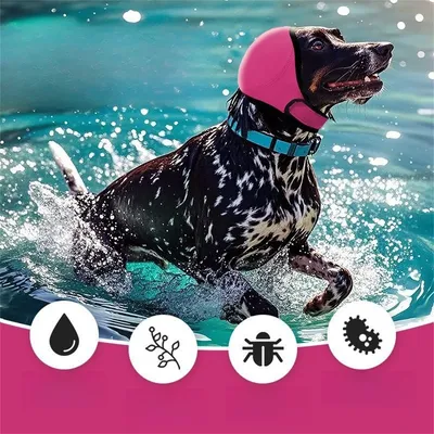 FurryFusion Coque d'oreilles pour chien apaiser