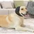 FurryFusion Protectores relajantes para las orejas del perro