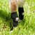 FurryFusion Protège - pattes pour chien après opération