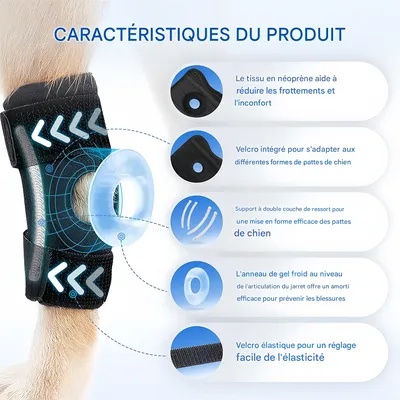 FurryFusion Protège - pattes pour chien après opération