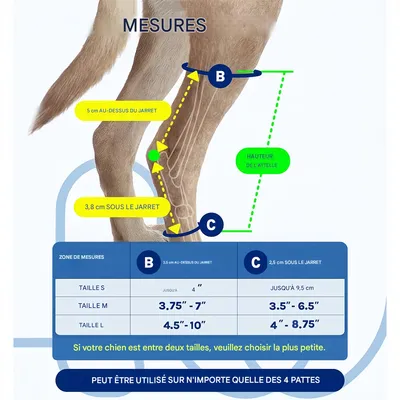 FurryFusion Protège - pattes pour chien après opération