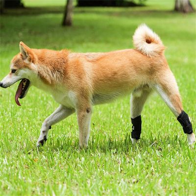 FurryFusion Protectores para las patas del perro después de la cirugía