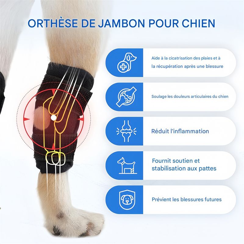 FurryFusion Protège - pattes pour chien après opération
