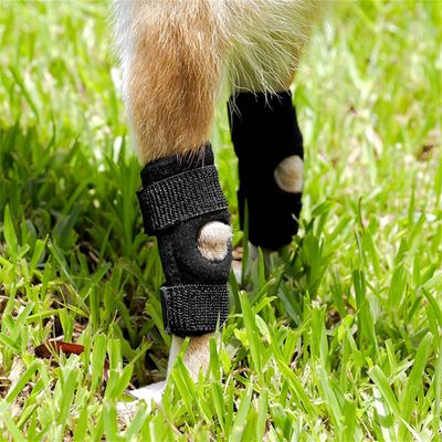 FurryFusion Protectores para las patas del perro después de la cirugía